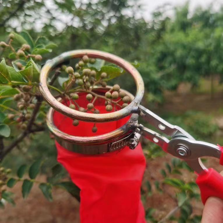 最新花椒采摘器