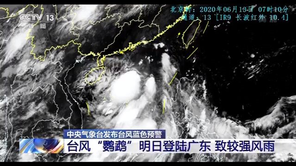 顺德鹦鹉台风预警最新