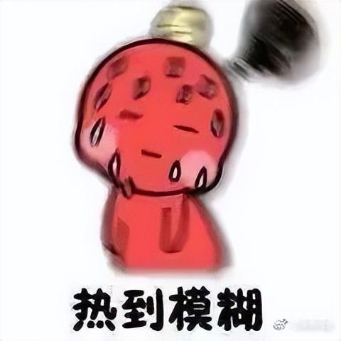 最新天气顶报