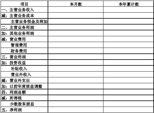 最新利润表内容