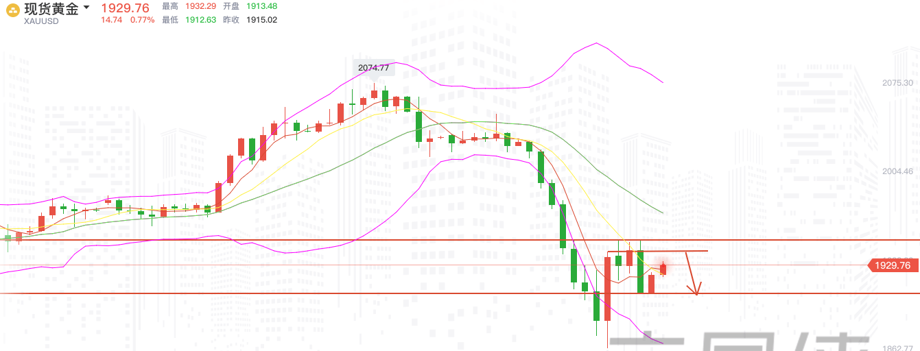 今日黄金走势最新预测