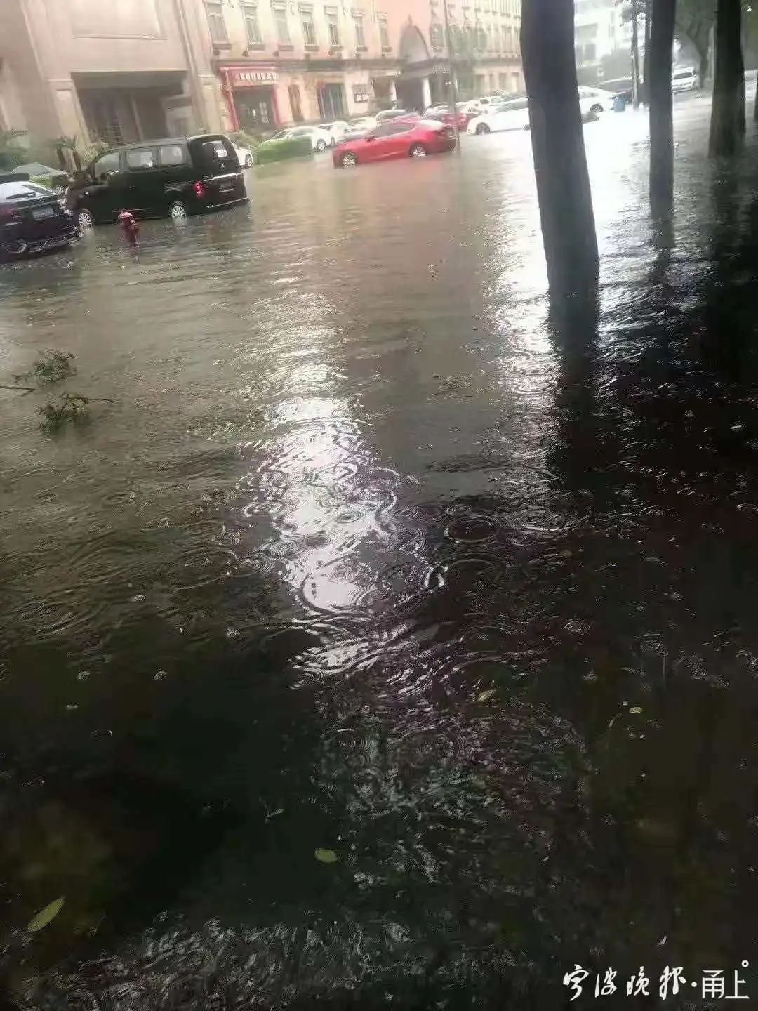 宁波大暴雨最新预警