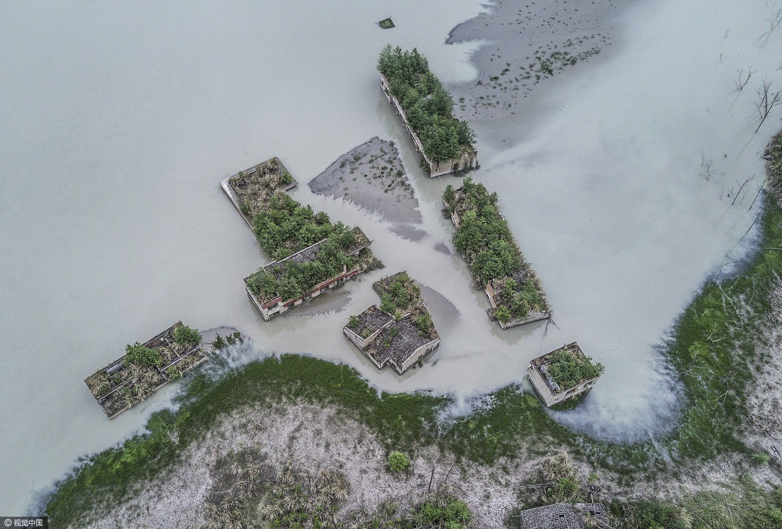 最新地震实状