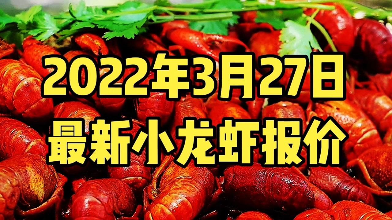 明天最新龙虾价格