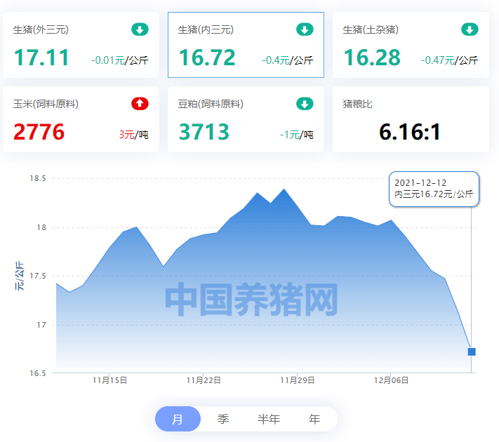 今日猪价格最新走势