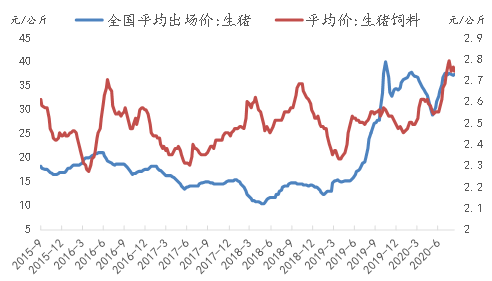 生猪价最新走势价格