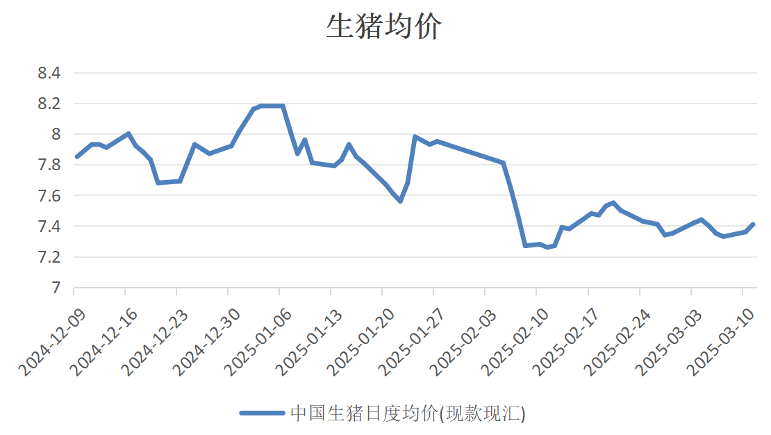 明日猪价最新信息