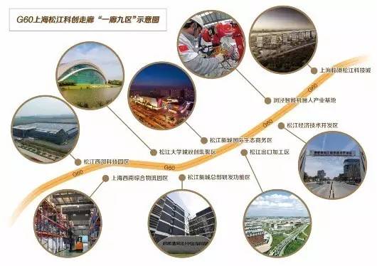 2024,2025澳门六一肖一码全年资料结果出来,澳门释义成语解释